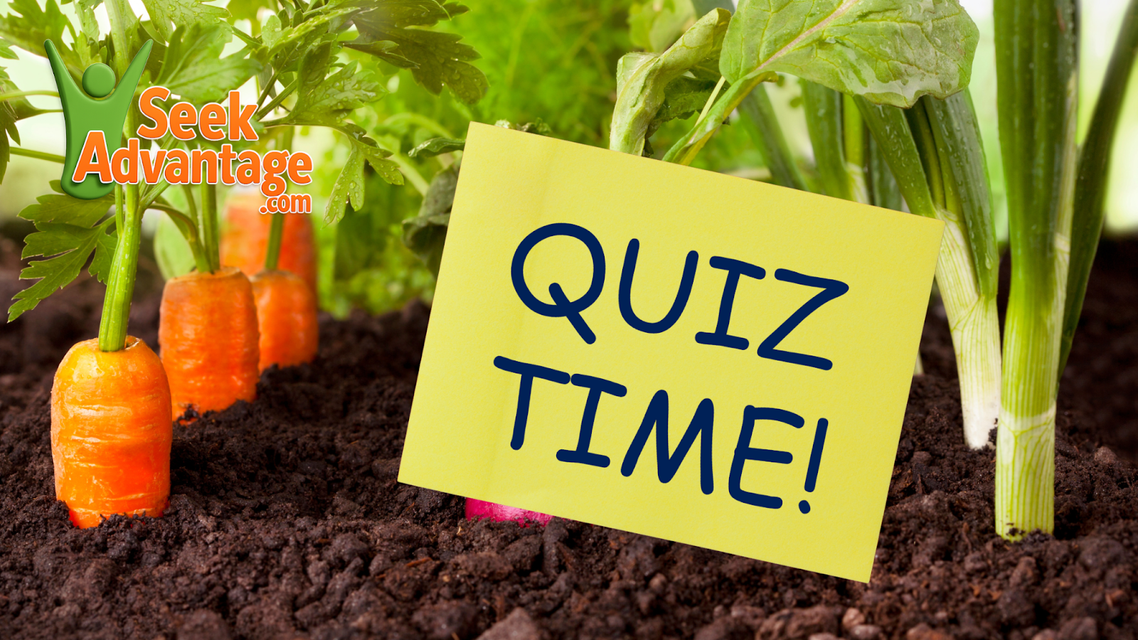 wellness and gardening wellness and gardening